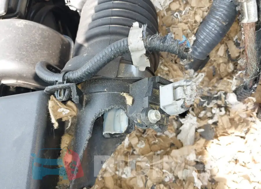 3N1AB8BV7PY268181 Photo# 17