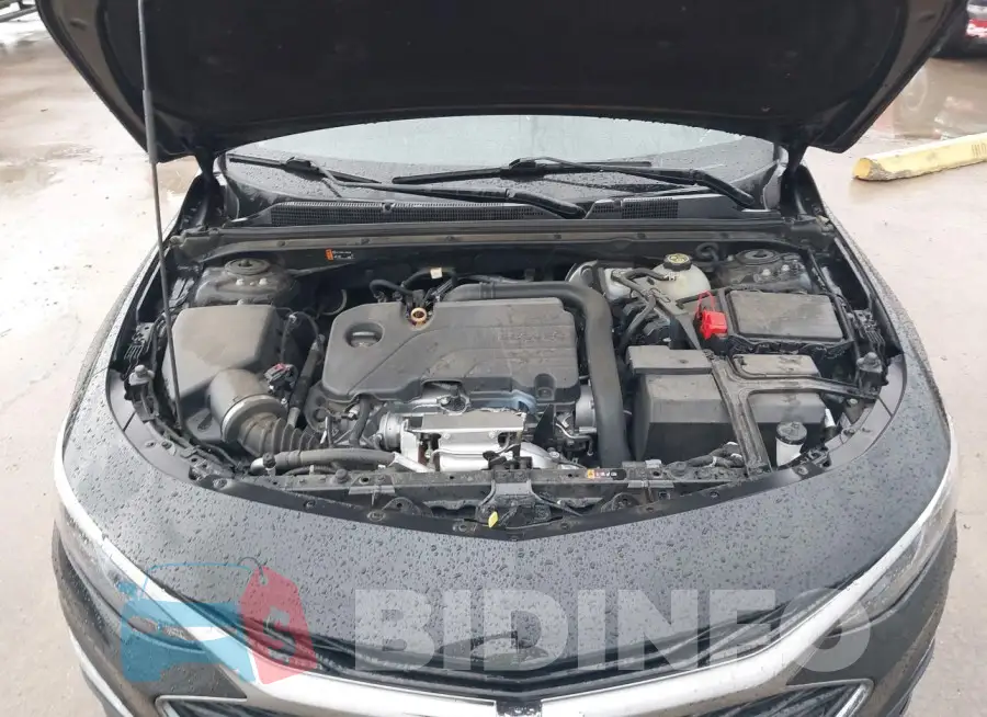 1G1ZD5ST5LF131256 Photo# 10