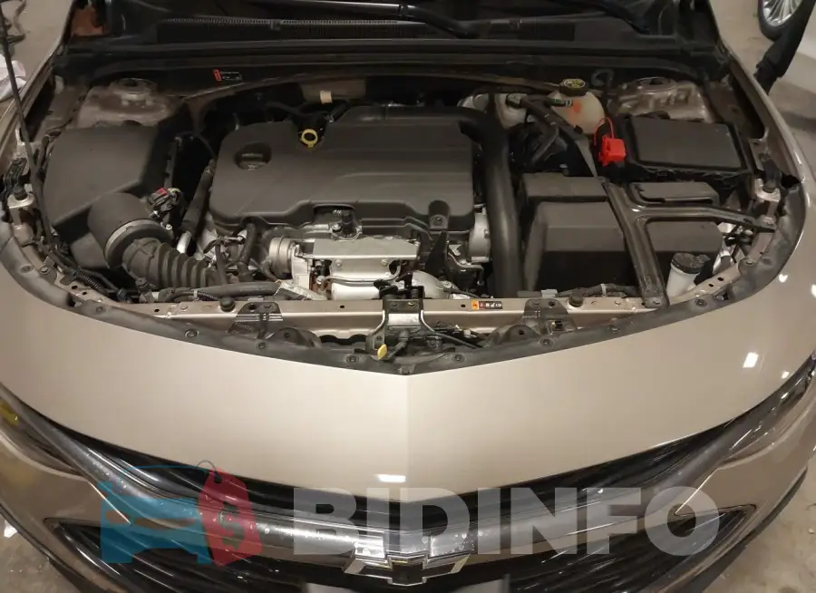 1G1ZD5ST6NF116381 Photo# 10