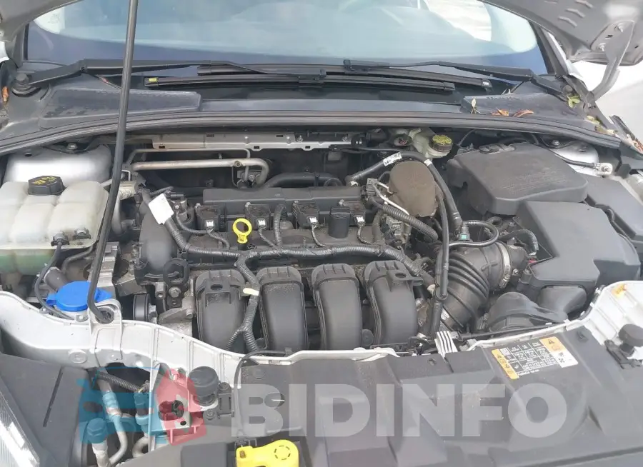 1FADP3E22GL224071 Photo# 10