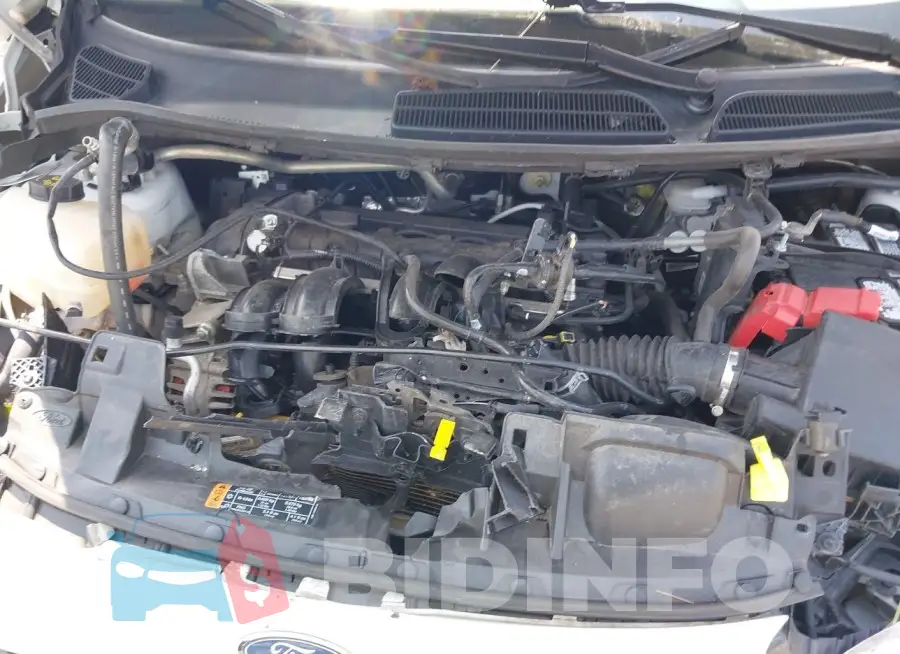 3FADP4BJ0KM161903 Photo# 10