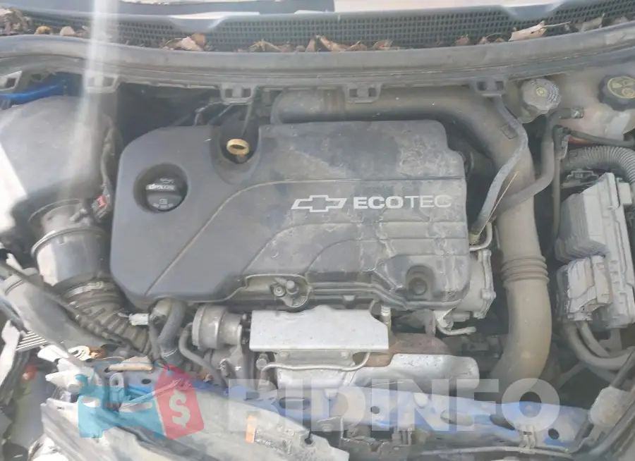 1G1BE5SM6G7261862 Photo# 10