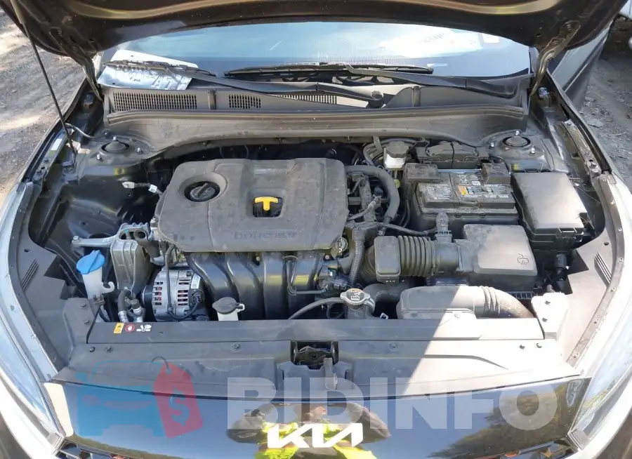 3KPF54AD1PE529267 Photo# 10