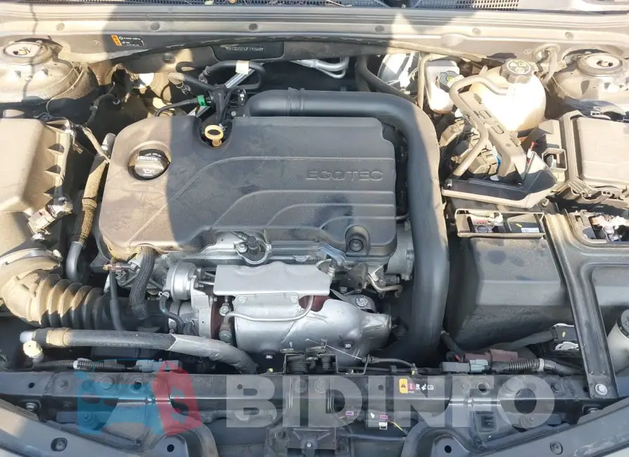 1G1ZD5ST5JF192846 Photo# 10