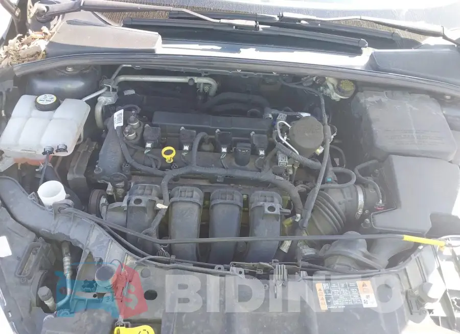 1FADP3E22GL238052 Photo# 10