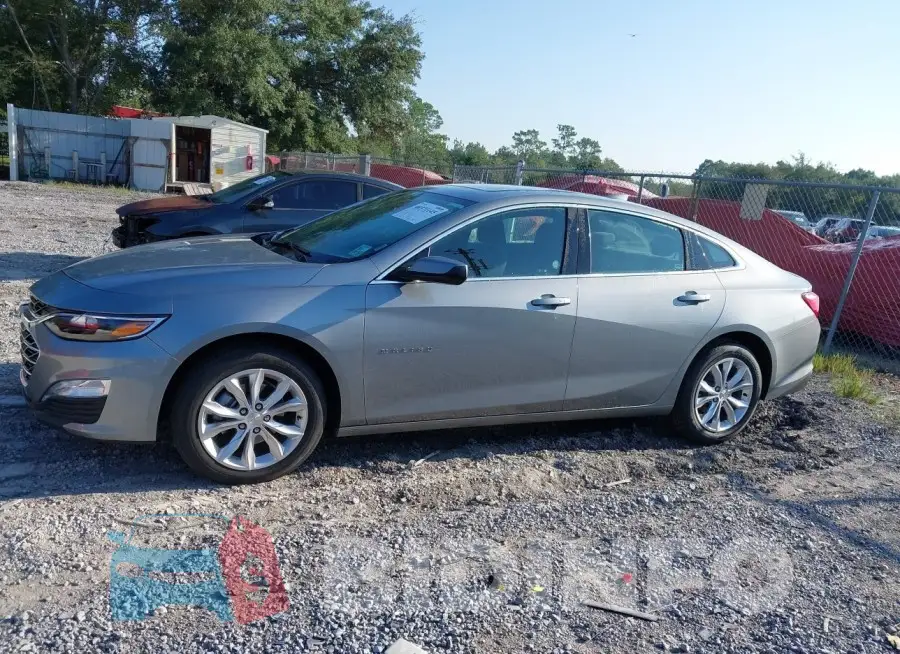 1G1ZD5ST6RF149208 Photo# 14