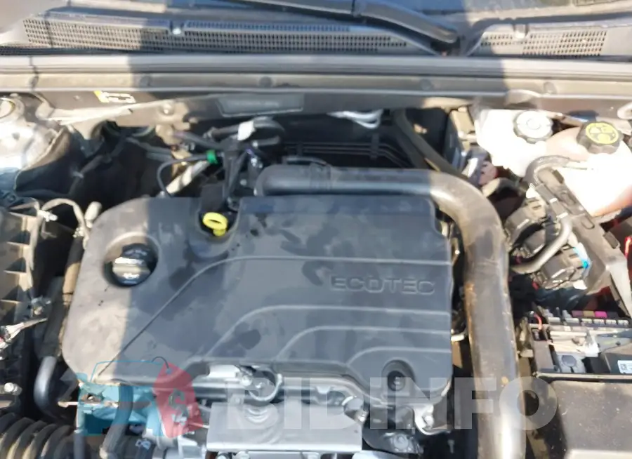 1G1ZE5ST5RF136978 Photo# 10