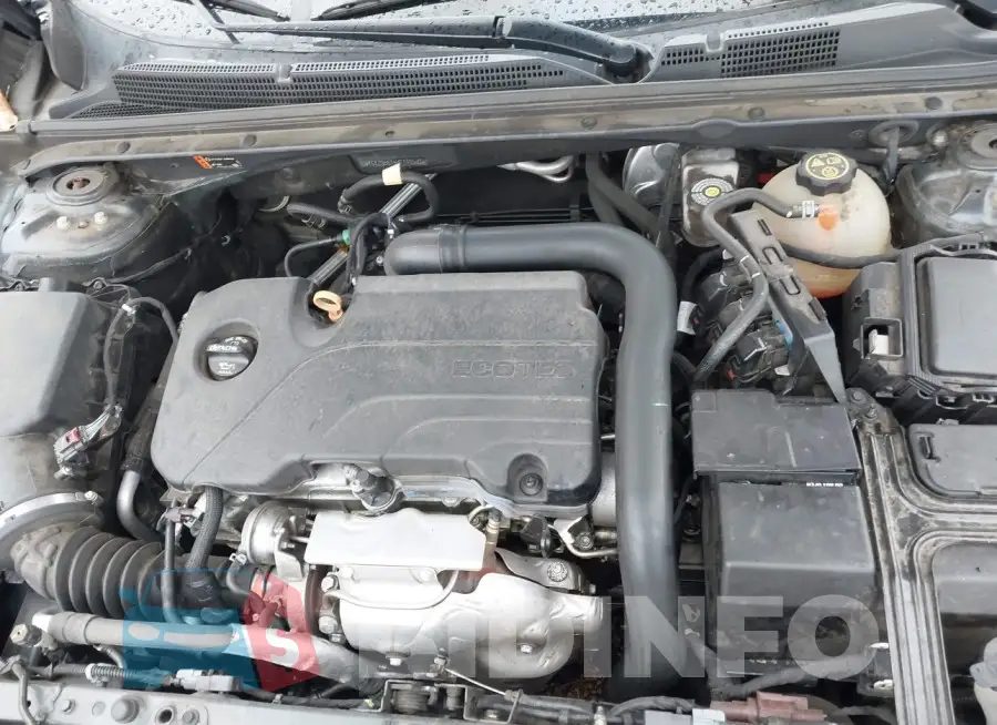 1G1ZD5ST5KF140652 Photo# 10