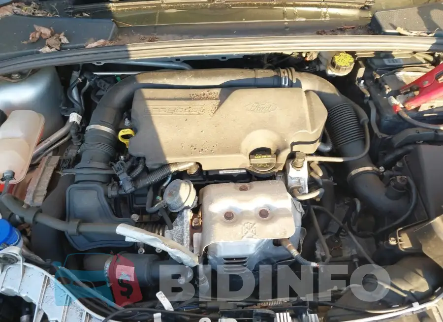 1FADP3FE5GL202106 Photo# 10