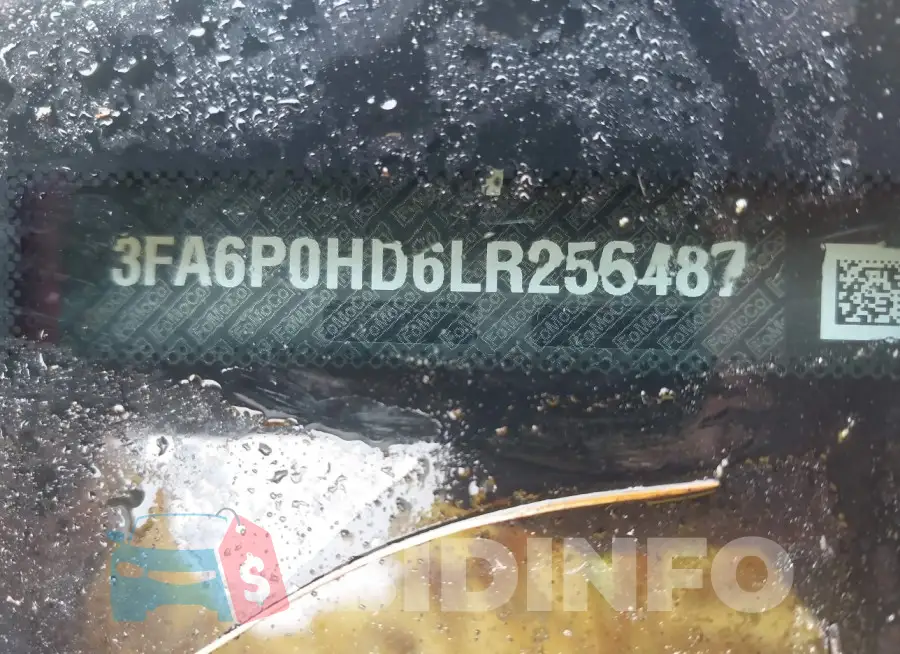3FA6P0HD6LR256487 Photo# 9