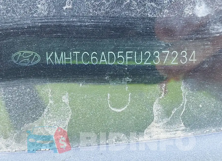 KMHTC6AD5FU237234 Photo# 9
