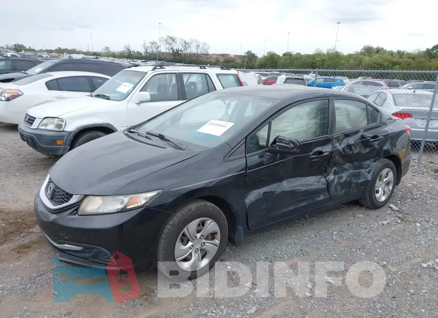 19XFB2F54FE074198 Photo# 2