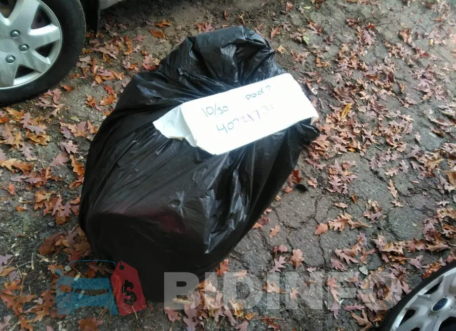 1FADP3E21FL264219 Photo# 12