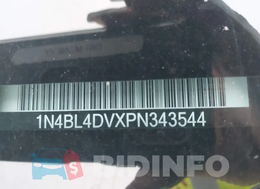1N4BL4DVXPN343544 Photo# 9