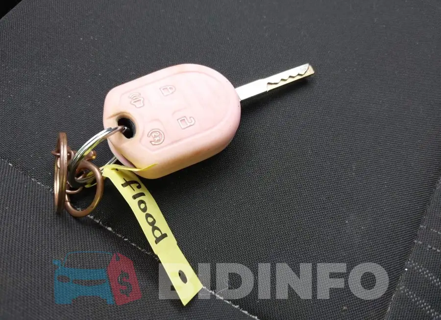 1FADP3F22FL252059 Photo# 11