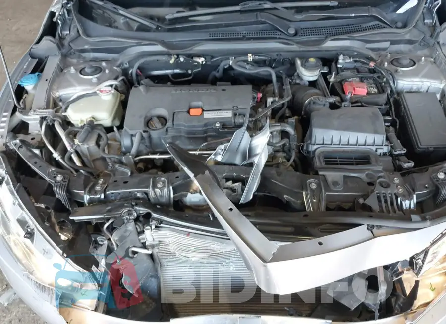 19XFC2F50GE233782 Photo# 10