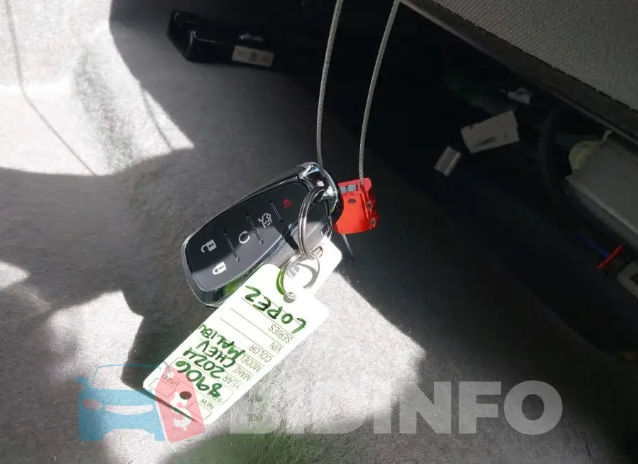 1G1ZD5ST8RF241663 Photo# 11