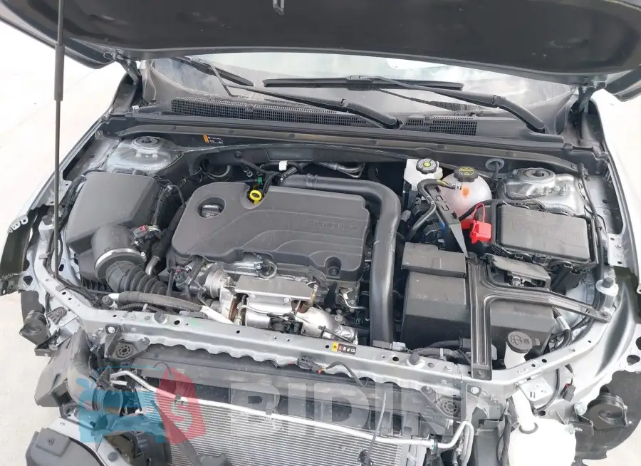 1G1ZD5ST8RF241663 Photo# 10