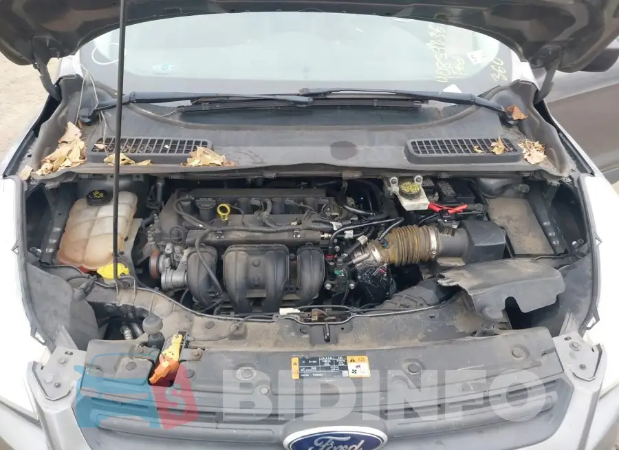 1FMCU0F76EUC35018 Photo# 10