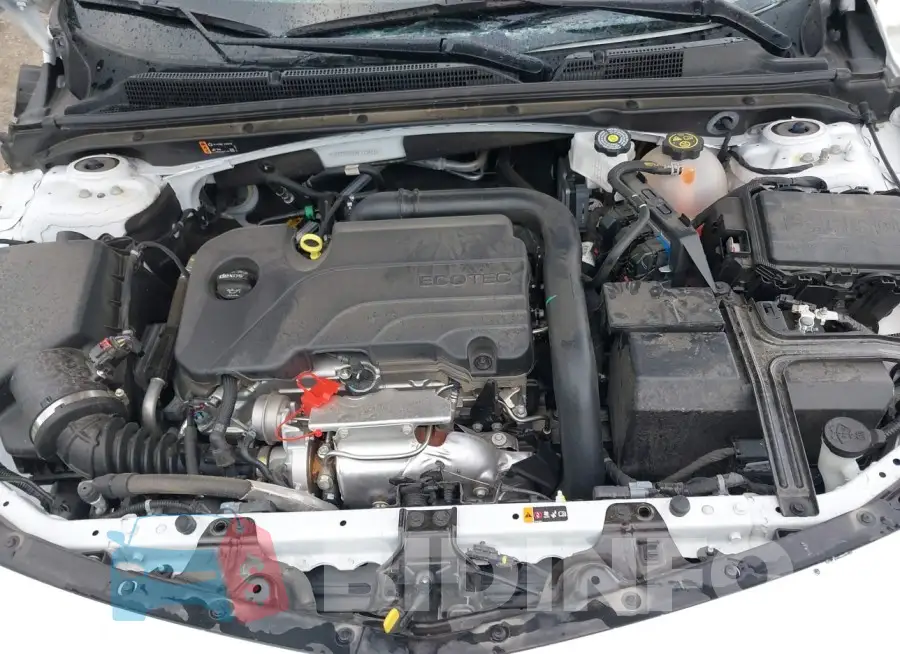 1G1ZE5ST5RF172427 Photo# 10