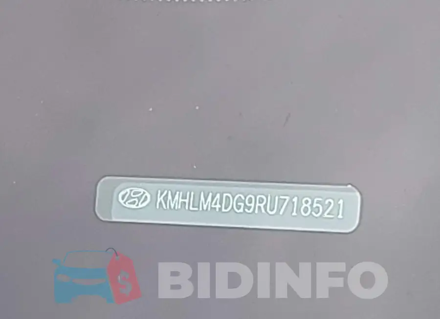 KMHLM4DG9RU718521 Photo# 9