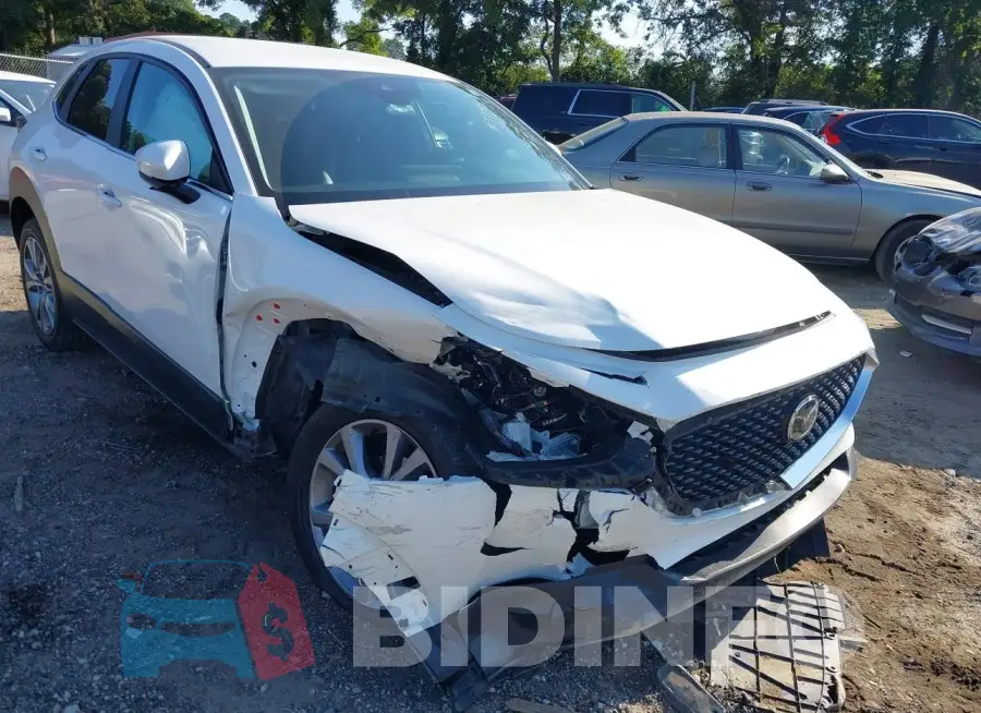 3MVDMBBL9NM452167 Photo# 6