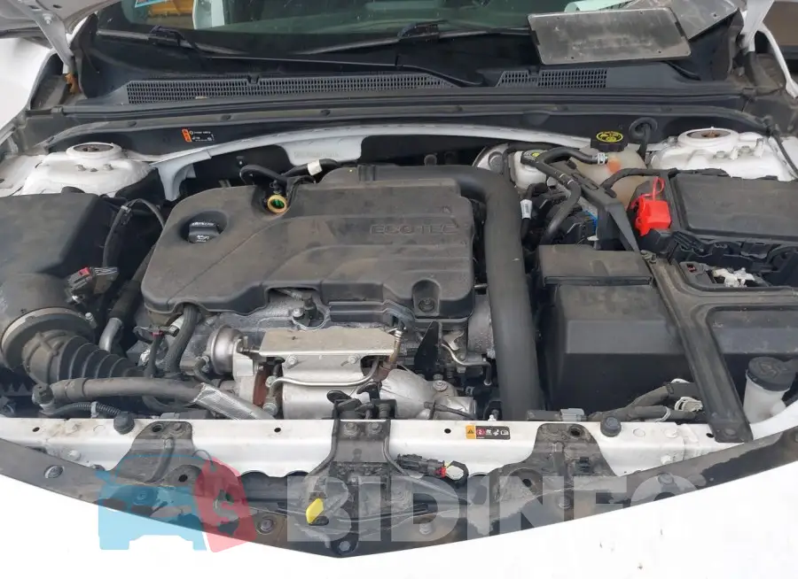1G1ZD5ST8KF175217 Photo# 10
