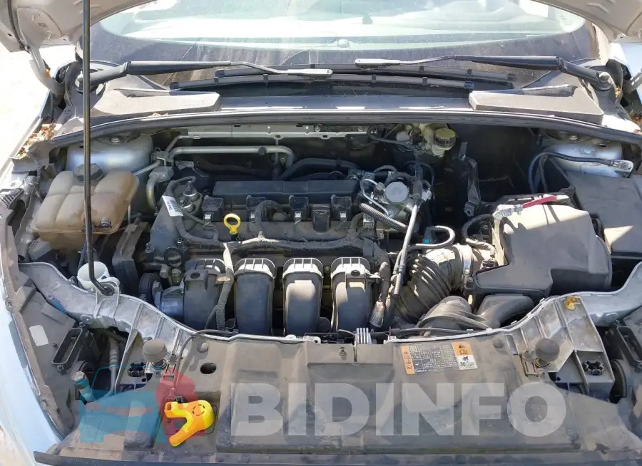 1FADP3E23GL324924 Photo# 10
