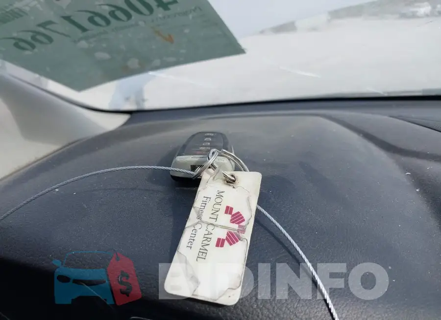 1FADP3N22GL224751 Photo# 11