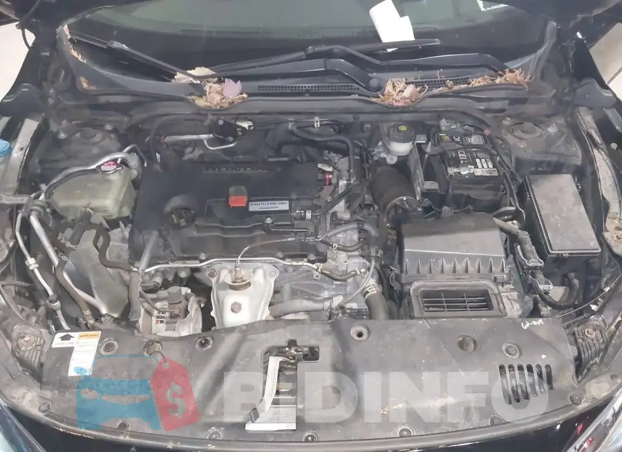 19XFC2F86HE208705 Photo# 10