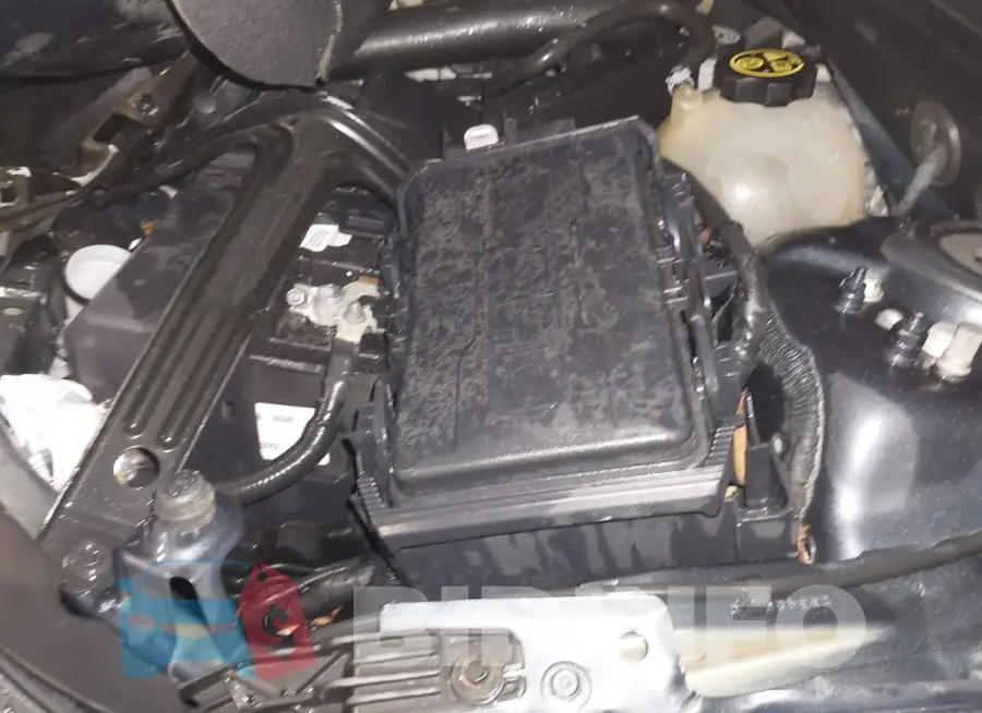 1G1ZD5ST5LF071981 Photo# 10