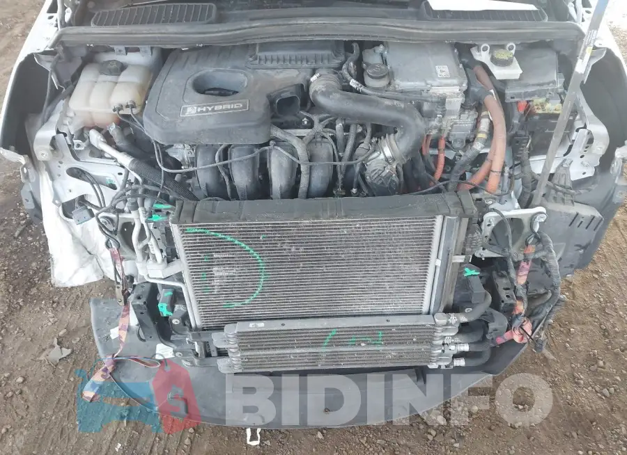 1FADP5BU7GL109483 Photo# 10