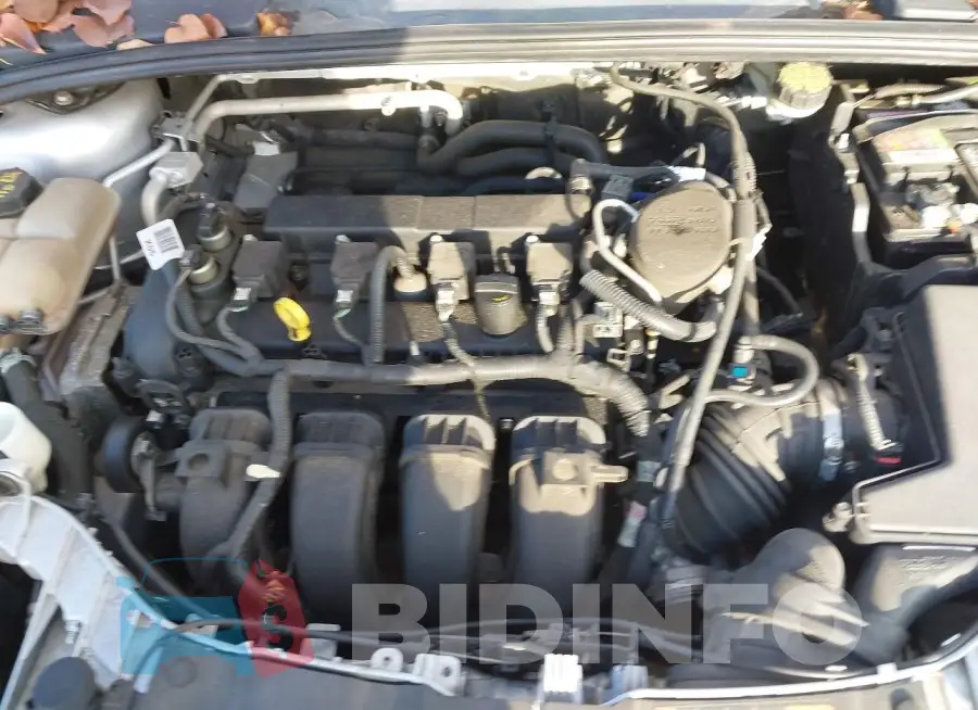 1FADP3F2XFL252939 Photo# 10