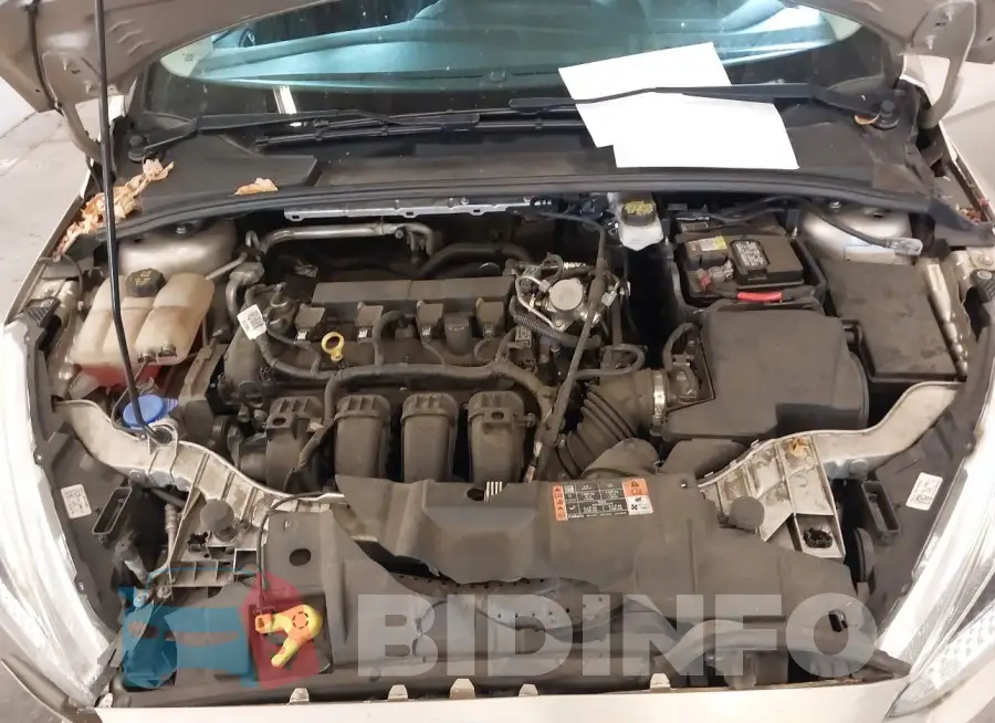 1FADP3F20HL300094 Photo# 10