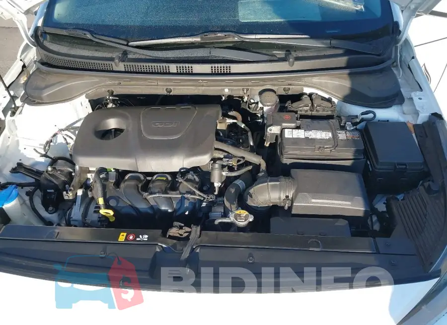3KPC24A37KE071892 Photo# 10