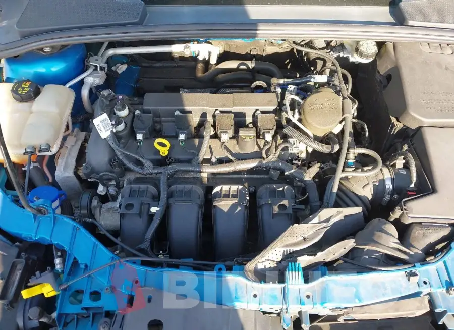 1FADP3K26GL240522 Photo# 10
