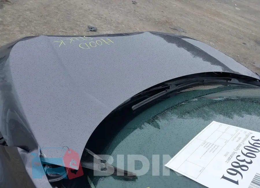 19XFC2F72HE224536 Photo# 20