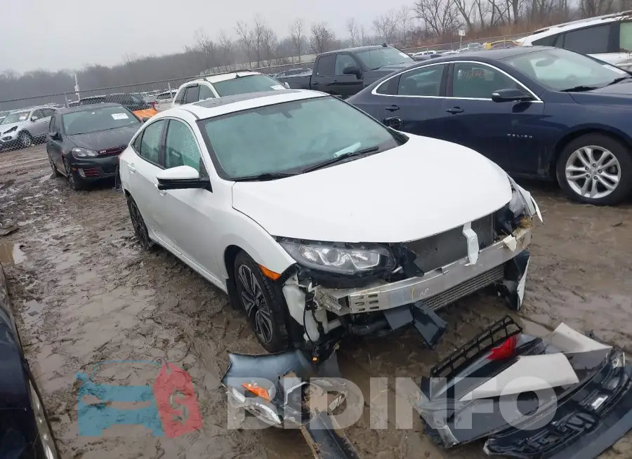 19XFC1F79GE013181 Photo# 1