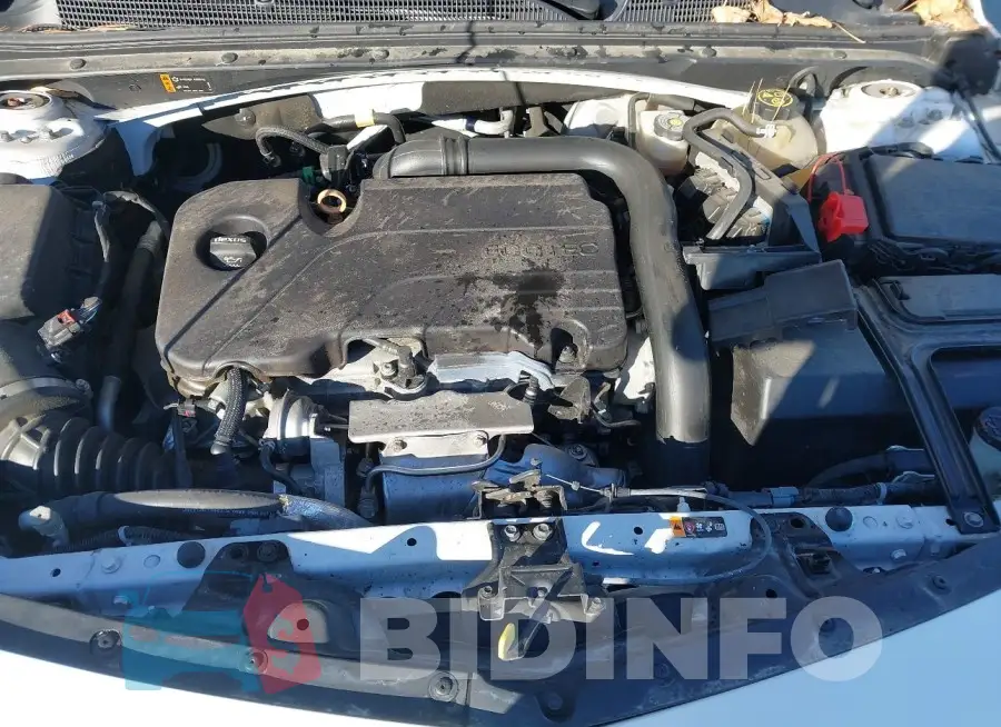 1G1ZD5ST6JF237714 Photo# 10