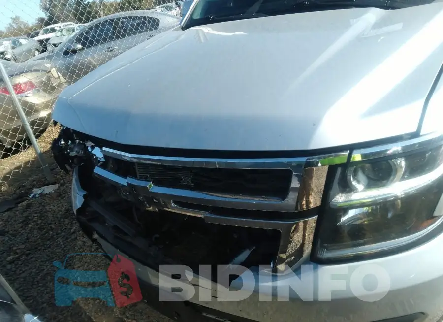 1GNSKBKC5LR134161 Photo# 12
