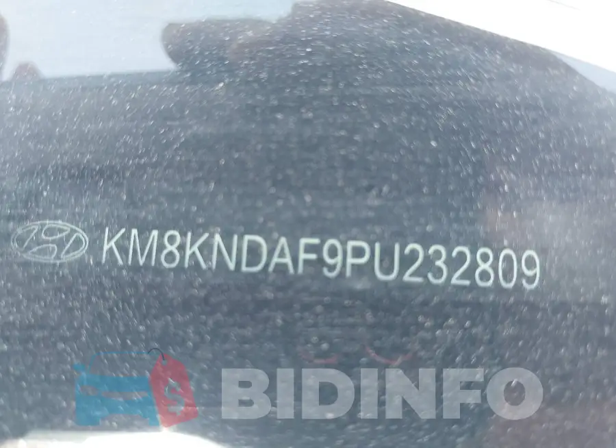 KM8KNDAF9PU232809 Photo# 9