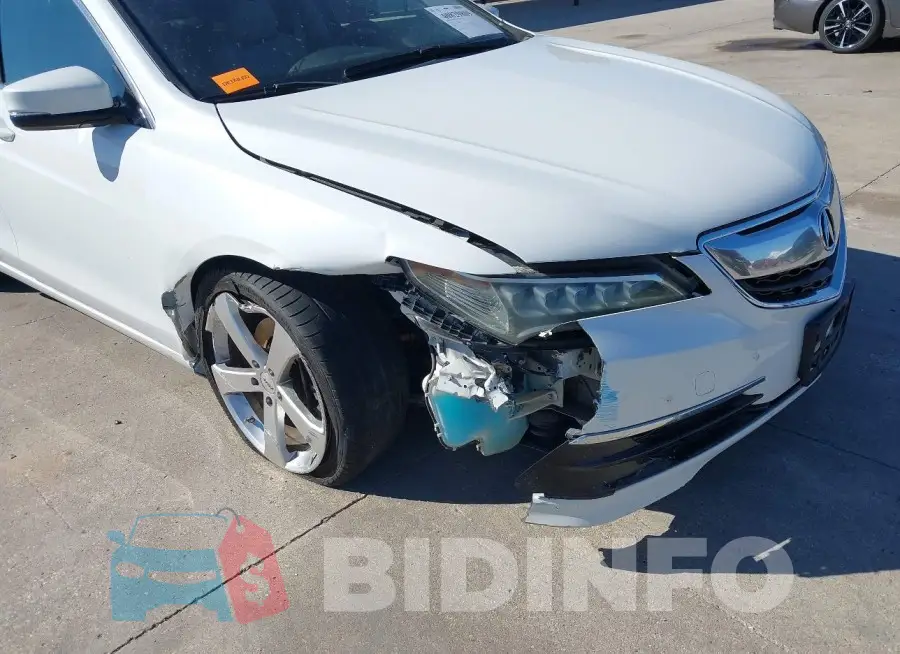 19UUB1F35FA008179 Photo# 6