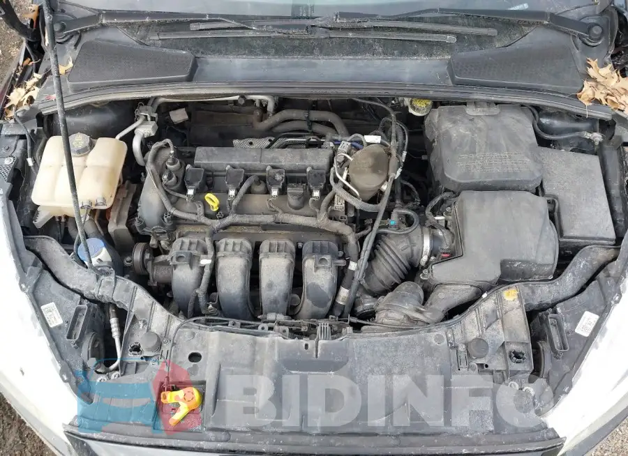 1FADP3N26GL228141 Photo# 10