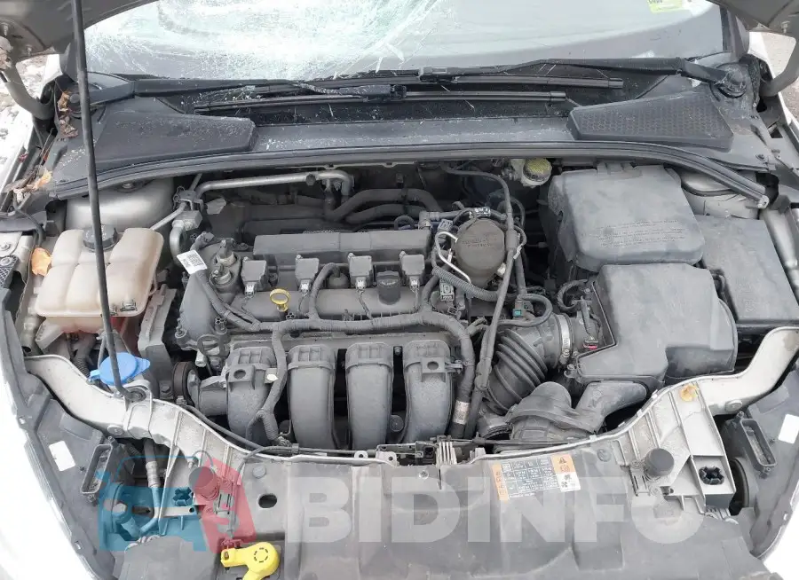 1FADP3F20GL237383 Photo# 10