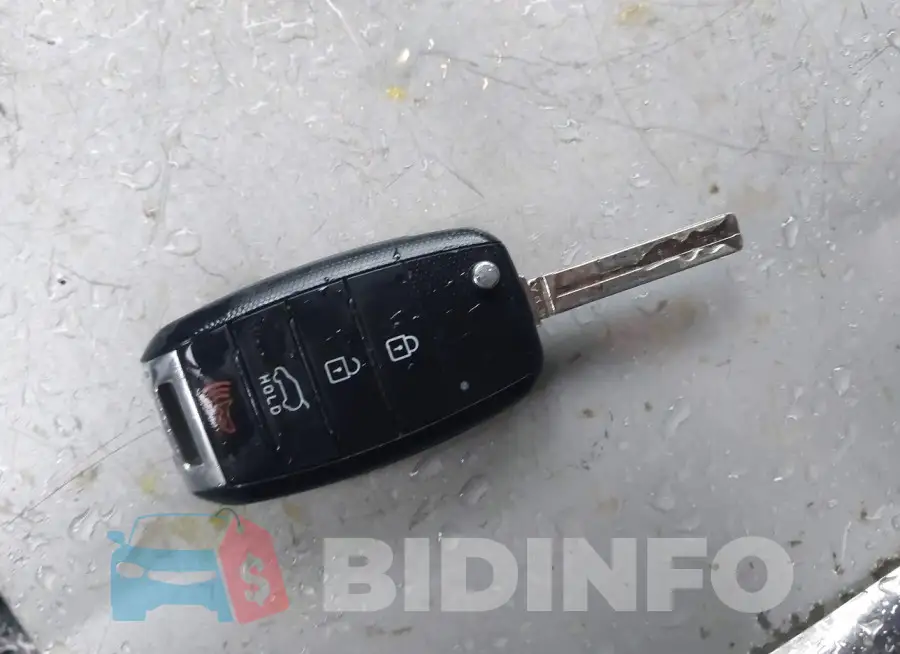 KNDPB3AC6G7865950 Photo# 11