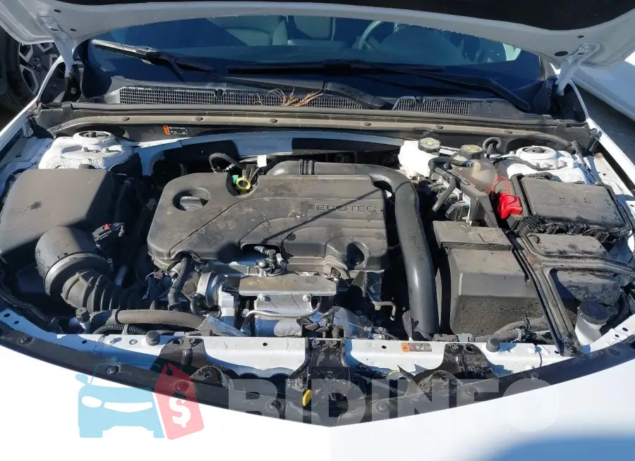 1G1ZD5ST5RF143402 Photo# 10