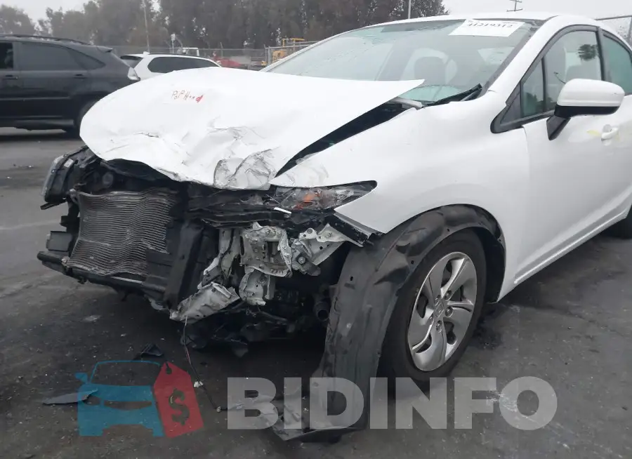 19XFB2F50FE221343 Photo# 6
