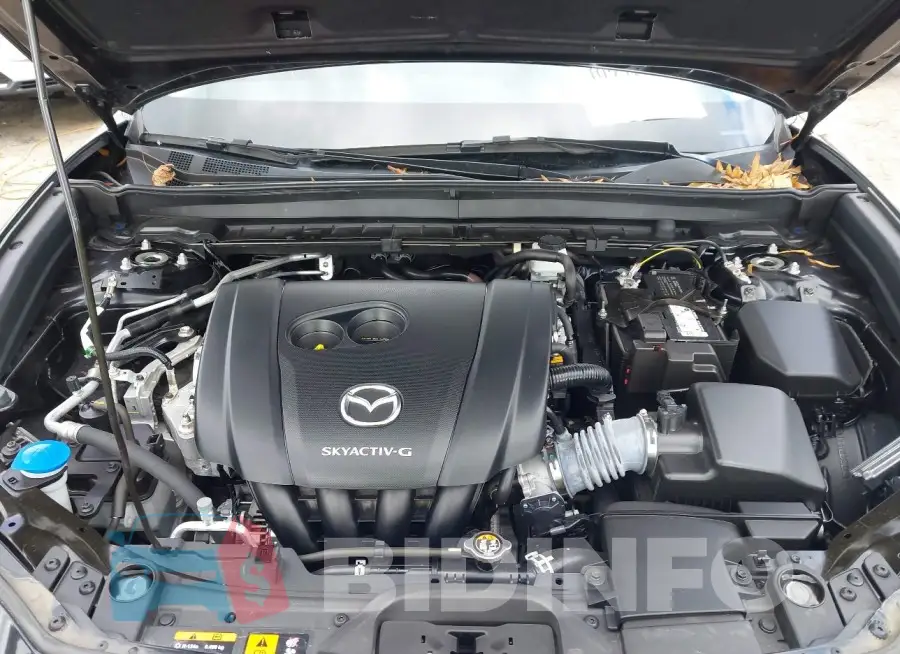 3MVDMBBL6MM313709 Photo# 10