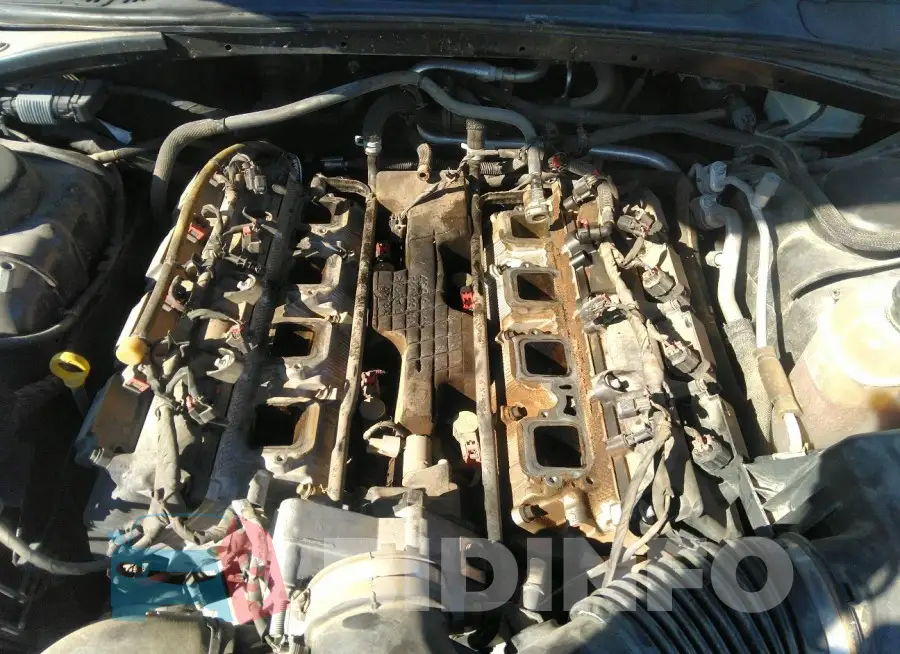 2C3CDZBT1MH517553 Photo# 6