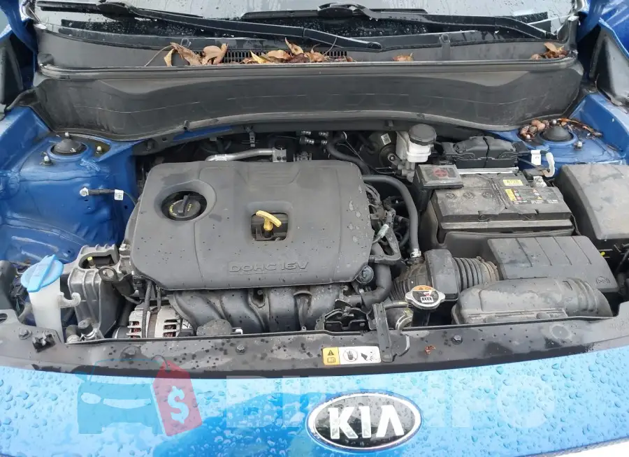 KNDEUCAA3M7128717 Photo# 10